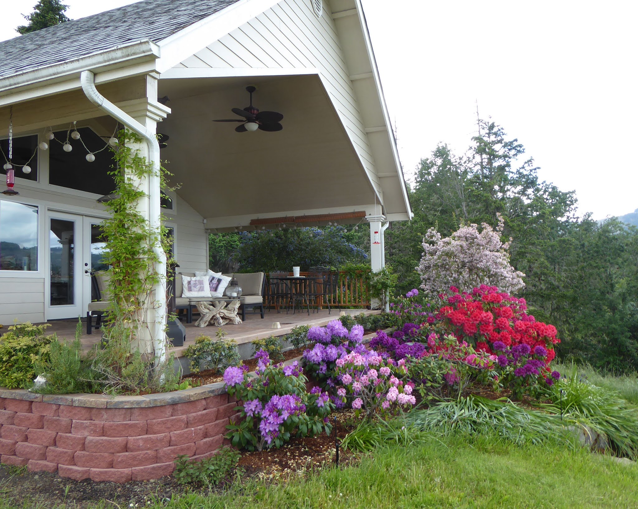 Covered patio with a landscaped bed of blooming rhododendrons